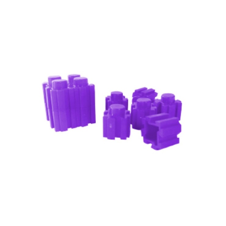 Purple 2 Blocks Toys 50 Pcs